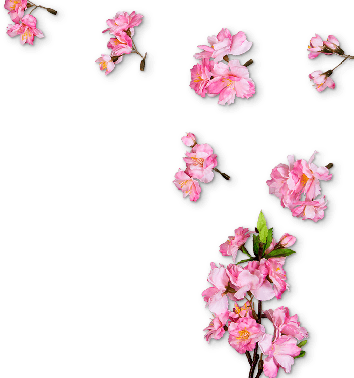 right-side-sakura.png